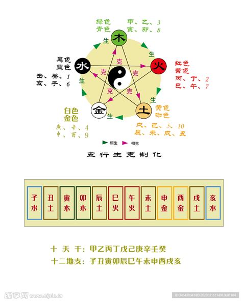 寅五行|天干地支五行对照表图 阴阳五行